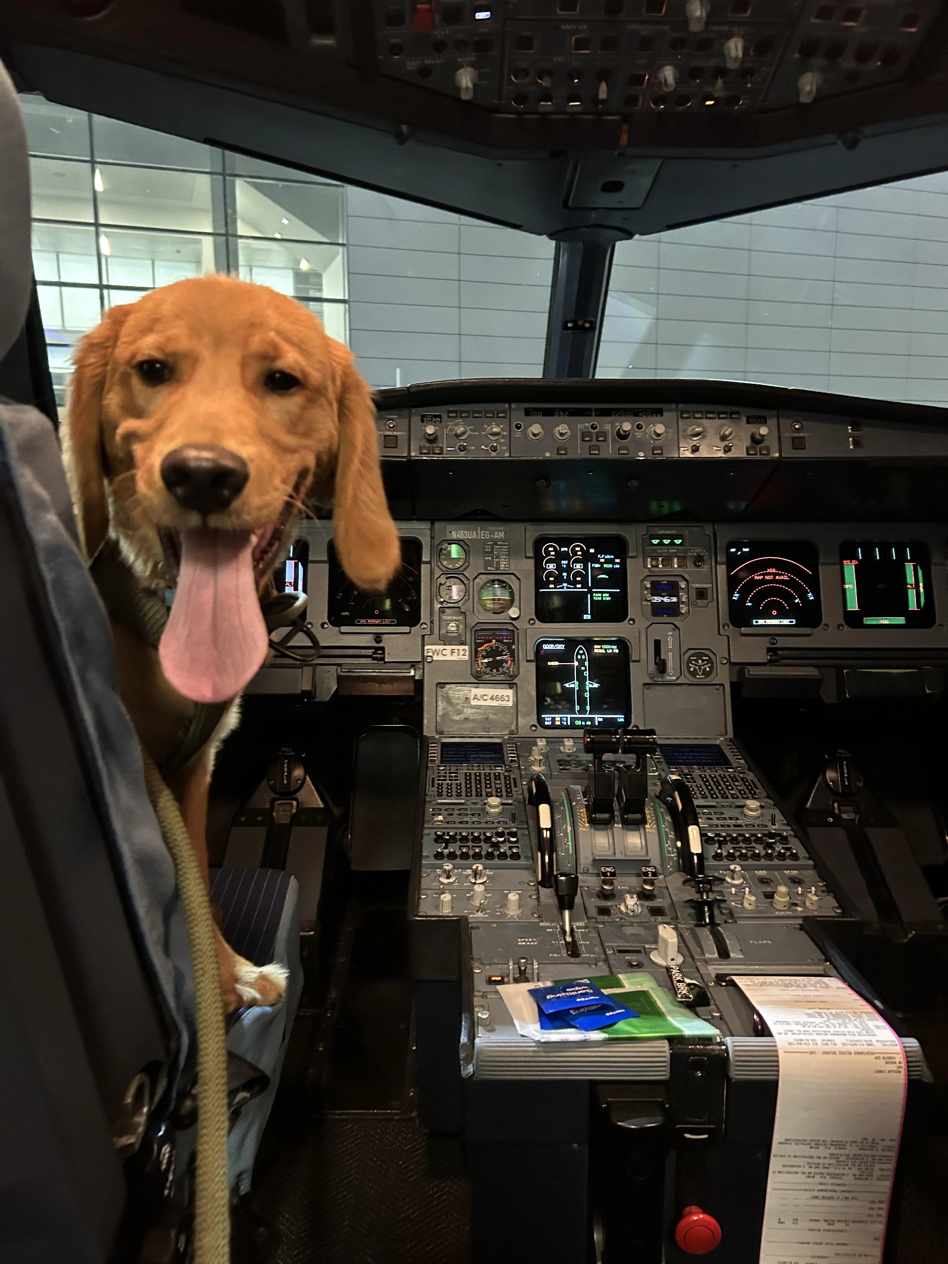 This is your captain speaking